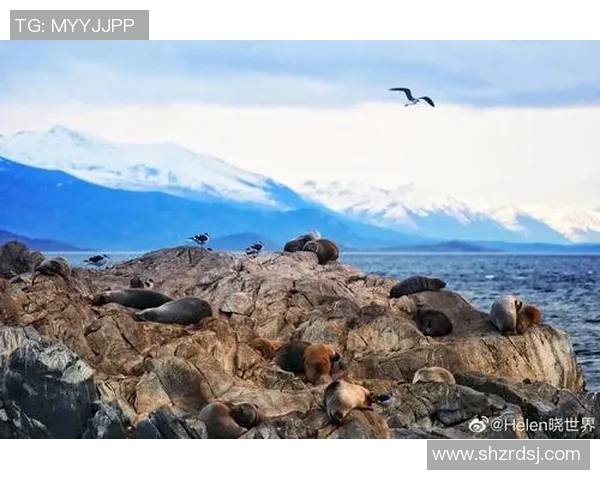瓦尔德斯纳斯致胜维京群岛，荷兰遗憾负于智利