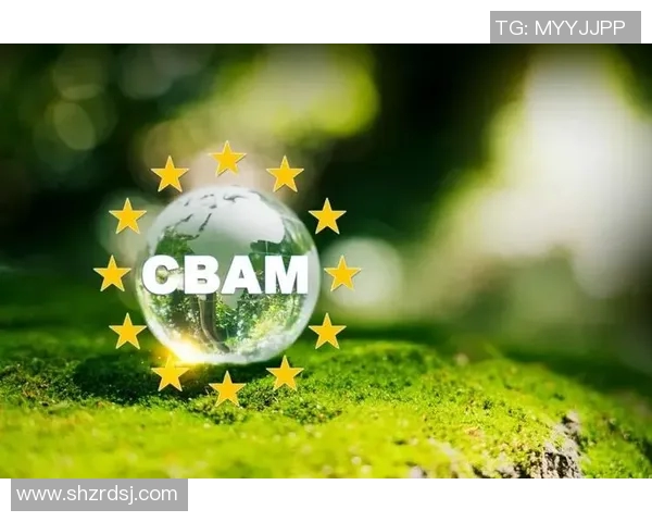 欧盟推出碳边境调节机制,旨在促进绿色经济发展 欧盟推出碳边境调节机制,旨在促进绿色经济发展