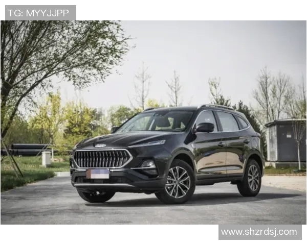 山东高速实现全胜势不可挡，成为赛场黑马