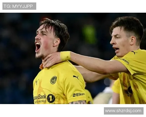 沃尔夫斯堡主场胜弗赖堡，稳固欧冠席位！